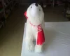 Soft Baby Polar Bear Toys / High Quality Plush Toy Little Polar Bear(AZO)