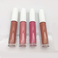 

Matte Lip Gloss Liquid Lipstick Lip Gloss Tube Private Label Beauty Makeup