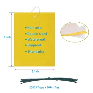 Image of Dual-Sided Yellow Sticky Traps for Flying Plant Insect Like Fungus Gnats, Aphids, Whiteflies, Leafminers