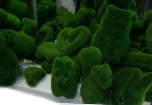 HTB10wMjGVXXXXcpXpXXq6xXFXXXT