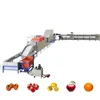 high efficient citrus process washing waxing sorting , apple grading machine , pomegranate sorting machine