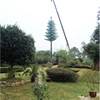 2019 Good quality Pine Tree Decorative Camouflaged Tower