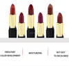 Best seller OEM lipstick pigment lipstick contain matte organic longlasting waterproof lipstick