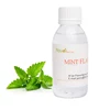 popular flavors mint concentrate vape liquid falvors for electronic cigarettes