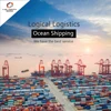 competitive sea freight forwarder from china to chile