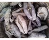 Price of Dried Sea Cucumbers, Different Sizes, Prompt Delivery by Air