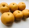2019 Chinese new fresh organic Fengshui pear