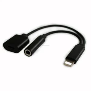 Mini 2 1 iPhone Audio Charging Adapter