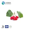 Low blood pressure Hawthorn berry extract /Hawthorn Extract /Hawthorn powder