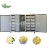 Automatic Bean Sprout Machine