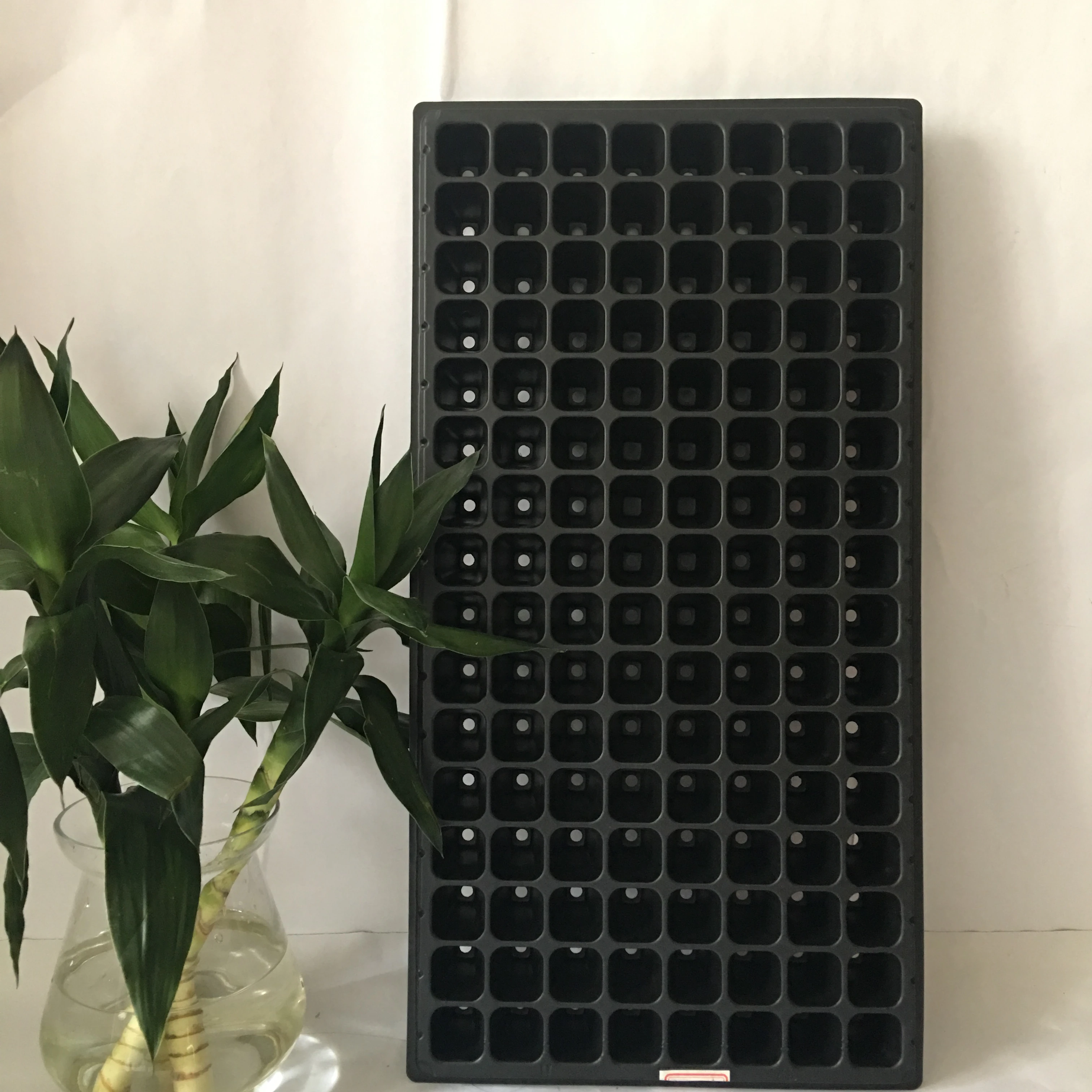 plastic ps 128 cell seeding tray