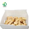 2019 Chinese Ginger Root Price