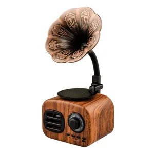 Retro Phonograph Style Bluetooth Speaker FM Radio