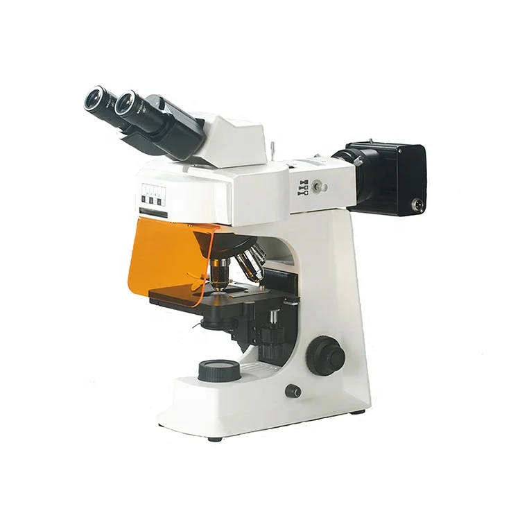 
fluorescent binocular microscope 
