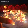 Toprex decor wholesale outdoor waterproof decoration white fairy lights in malaysia