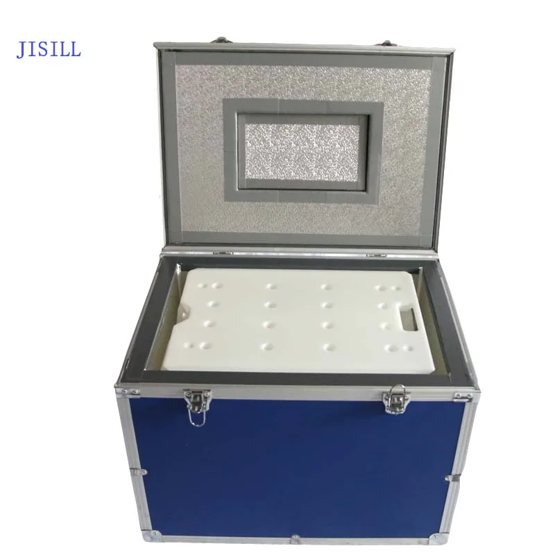 

Custom Portable Ice Cream Freezer Box Control Temperature Cooler