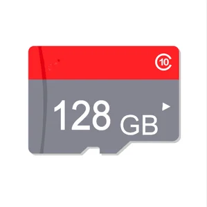 TF SD Memory Card Devices – Various Capacities