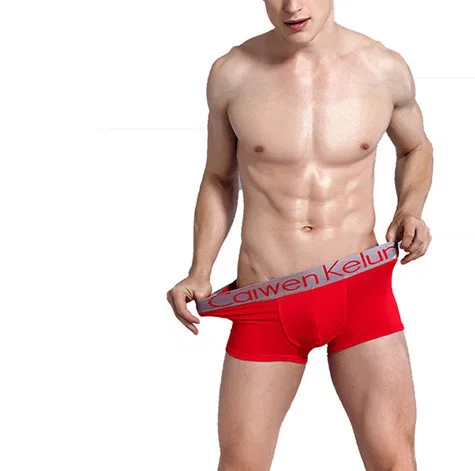 

Hot Sexy Mens Boxer Underwear Soft Cuecas Brief Amazon Sale Male Homme Pants, N/a