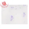 Scientific Prepared Slide Set -(Set of 5) Genetics prepared slides microscope