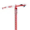 /product-detail/brand-new-tower-crane-for-sale-in-2017-made-in-china-60680837037.html