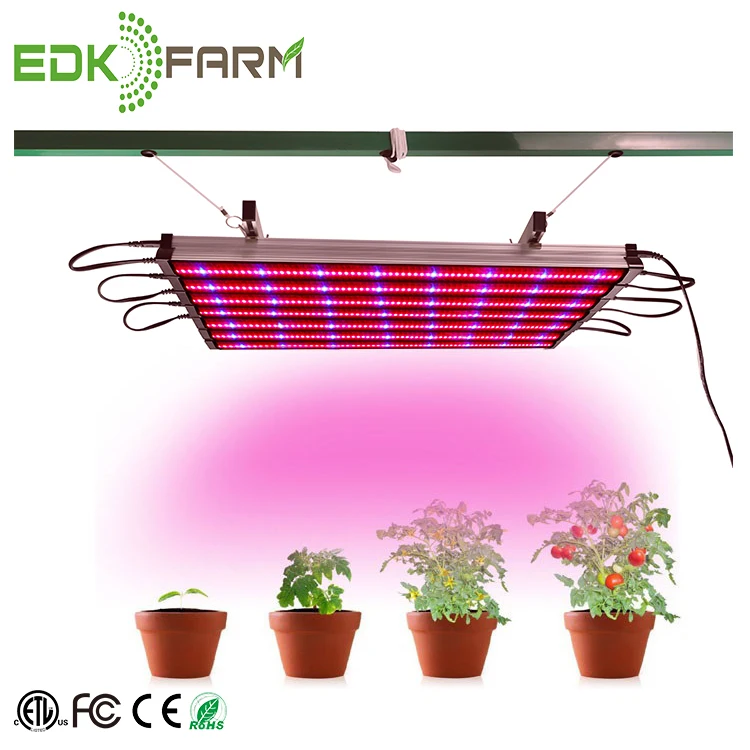 Best ETL Listed EDK 48W hydroponic system LED Lettuce Microgreen growing Light Kit