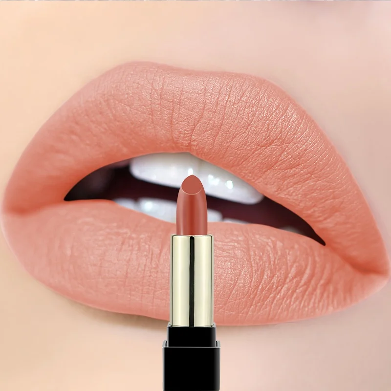 

Panni hot private label cosmetics customized matte lipstick
