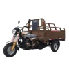 /product-detail/cargo-tricycle-three-wheel-motorcycle-cargo-tricycle-62113027378.html