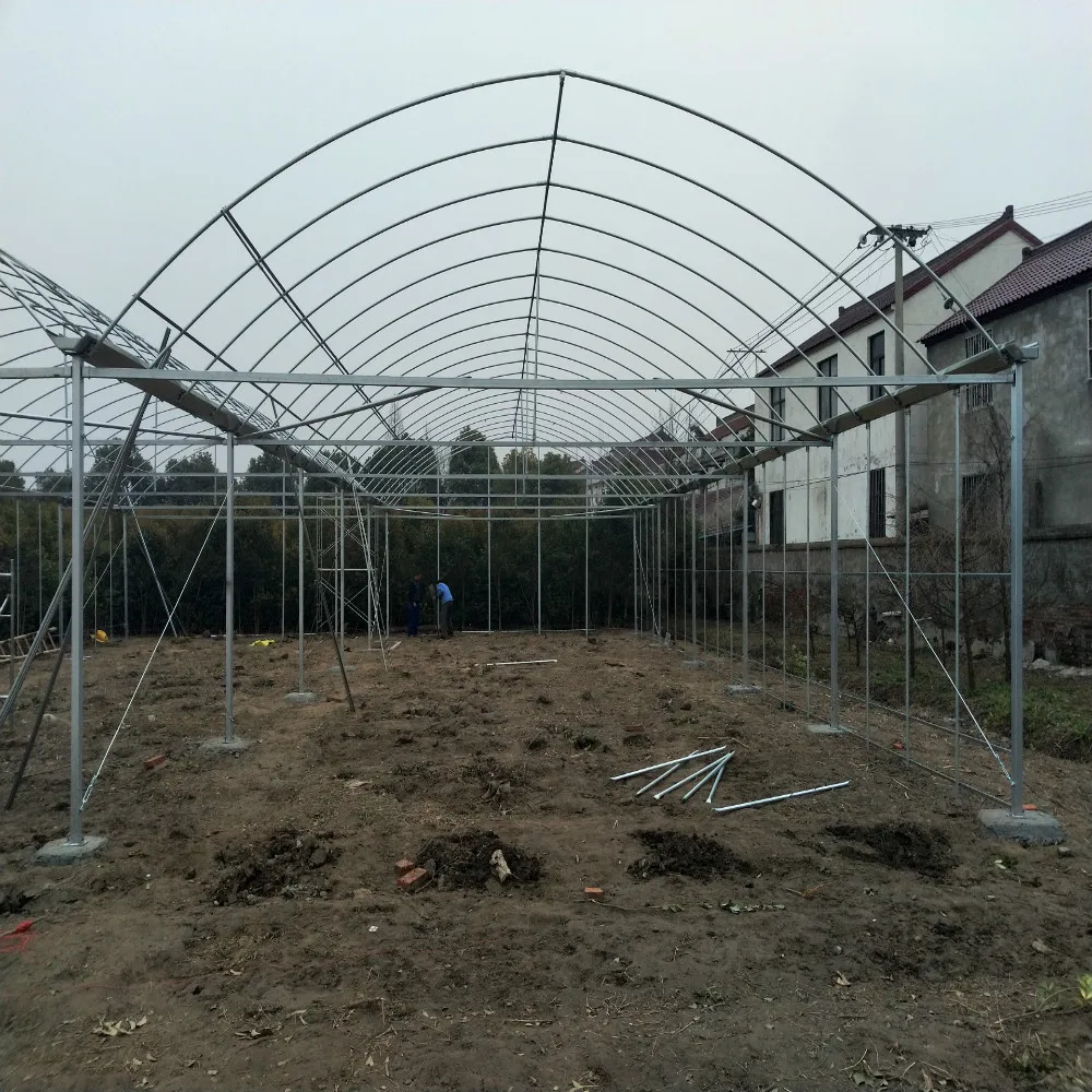 
large size multi-span arch plastic film Greenhouse tomato greenhouse and strawberry greenhouse turnkey project 