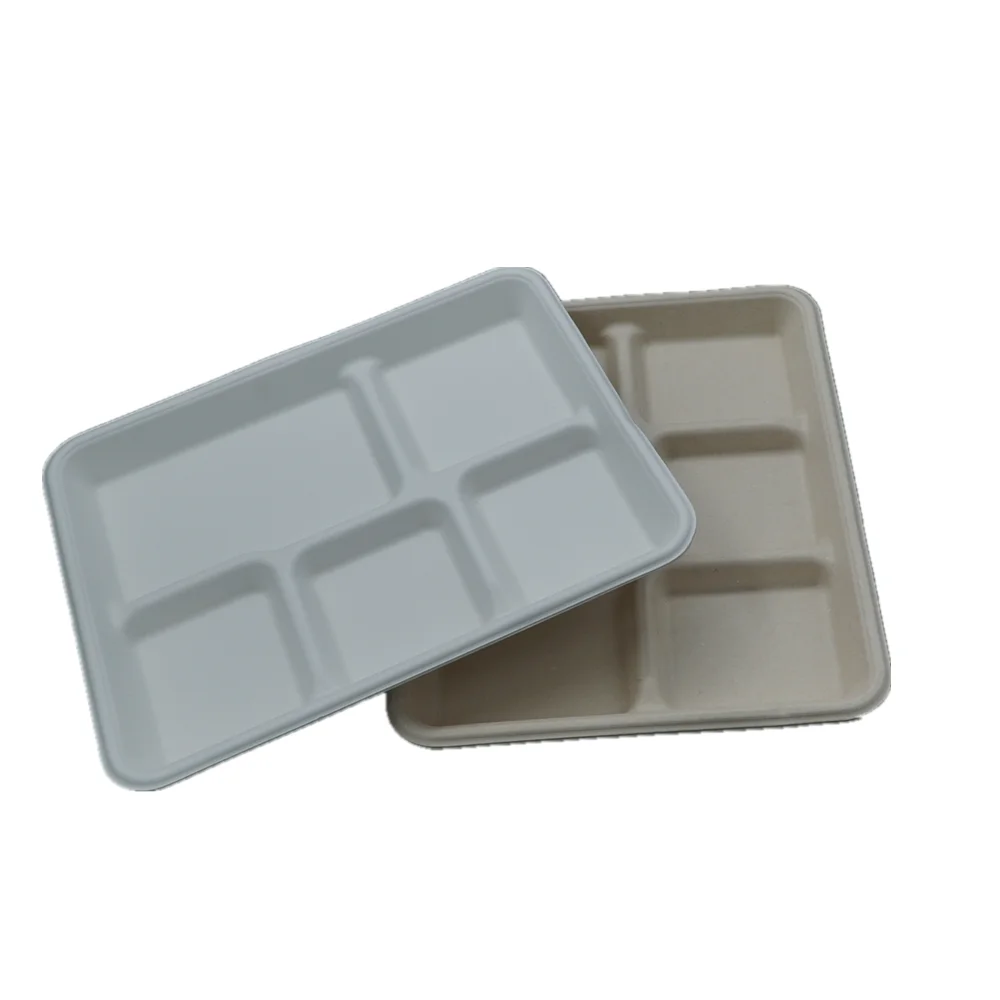 

Eco-friendly Bamboo fibre 100% Biodegradable and Compostable 5 Compartment Big Tray School Lunch Tray