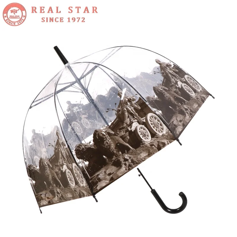 

RST Madrid printed transparent straight POE/PVC plastic bubble clear umbrella, N/a