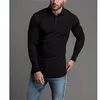Undefined button ups wholesale promote free sample cotton shirt custom embroidered logo striped shirts