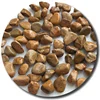 pebble stone for epoxy shower floor