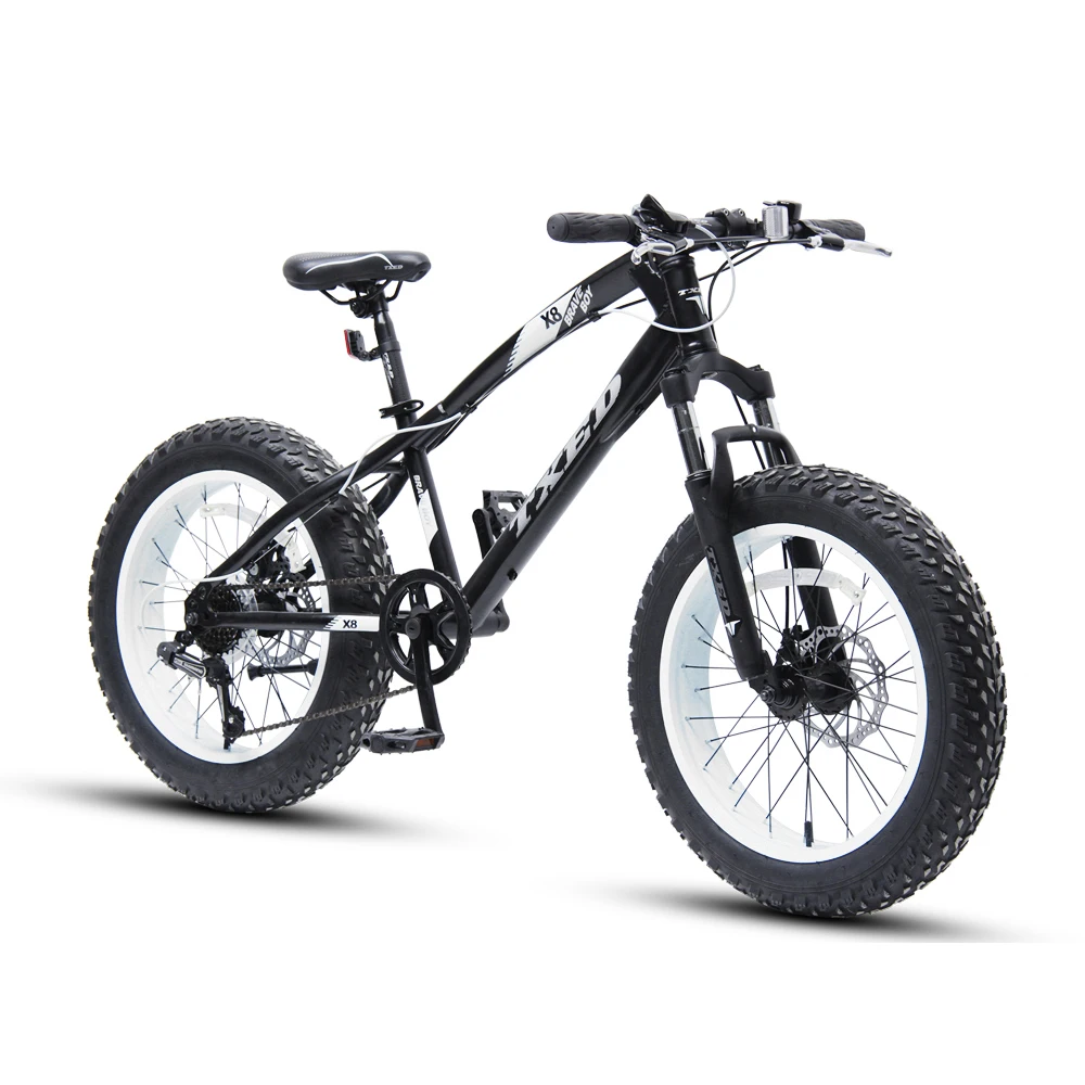 

MTB now model mountain snow Bike With Fat Tire