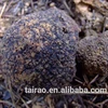 /product-detail/mushroom-spores-truffle-price-wild-growing-mushroom-export-price-black-truffle-4-7cm-60593572189.html