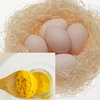 Egg Yolk Powder with factory price