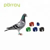 Pigeon Rfid Ring Tracking Chip Rings Electronic Bird Ring