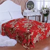 Wholesales Custom Fashion 100% Polyester 1 ply 2 ply Fresh Stock Raschel Blanket Biggest Factory Made In Yiwu