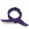 Wholesale total 15 colors classic women and mens paisley print bandanas