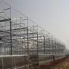 multi span glass greenhouses for agriculture
