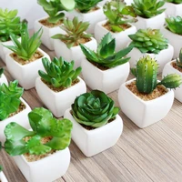 

Shininglife wholesale Green plants Artificial succulent plant pot for hotel decoration