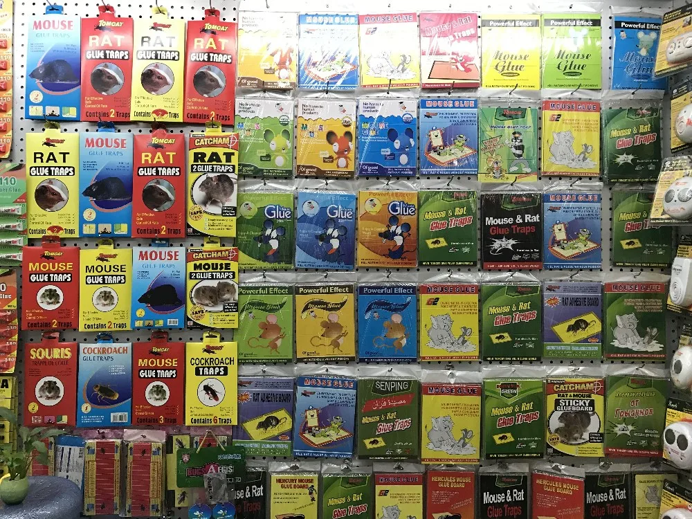 
Manufacturer supply good sales quality safe environmental mouse rat glue trap for home 