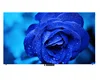 P1.2 front installation full color super light and thin fine pitched LED display/screen