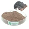 Wholesale price Chaga Mushroom Extract Black birch tuchwood extract with high quality