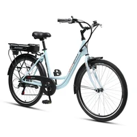 

Two Wheel City bike electric bike for adult