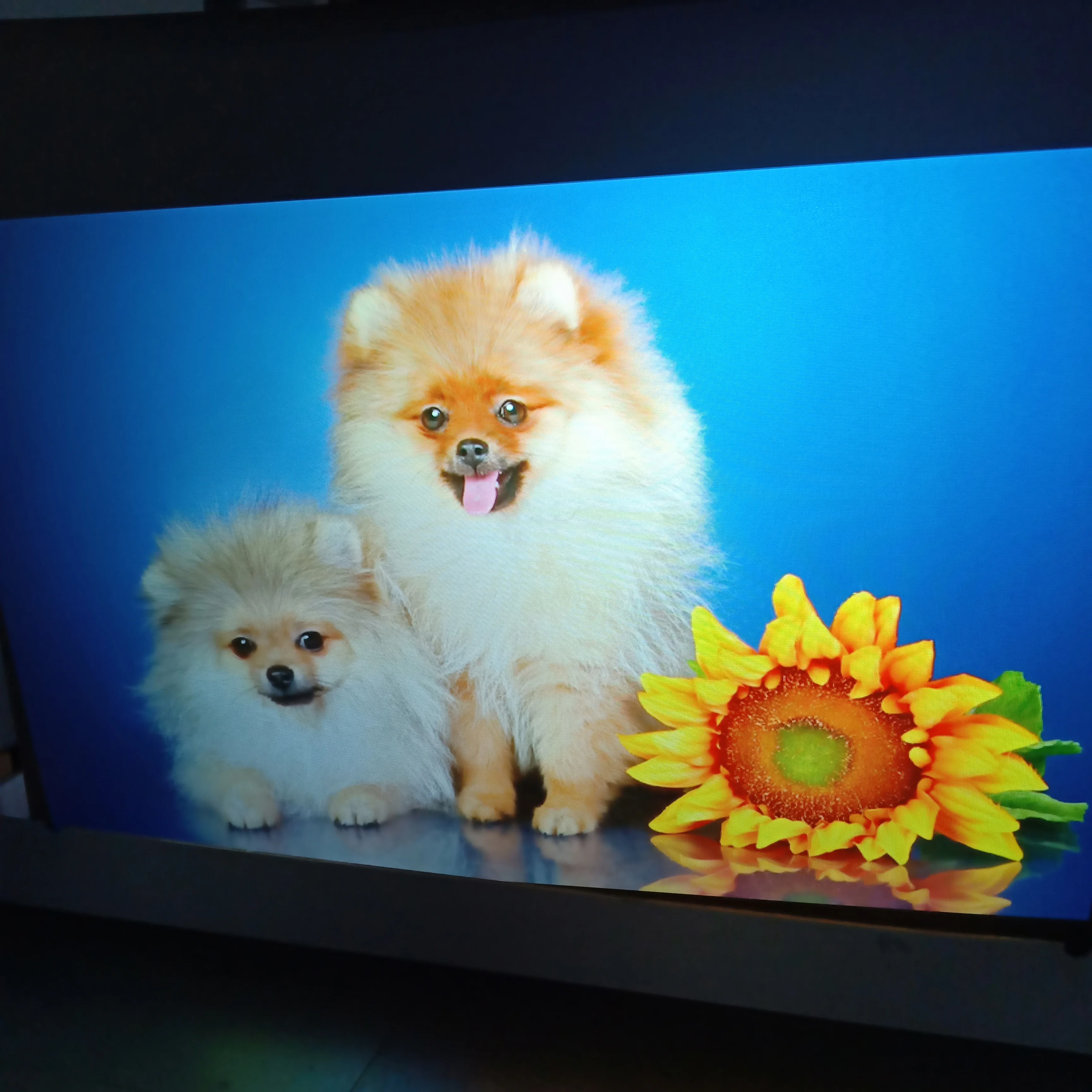 

High quality 3D HD hologram shop window advertising film transparent gray black, N/a