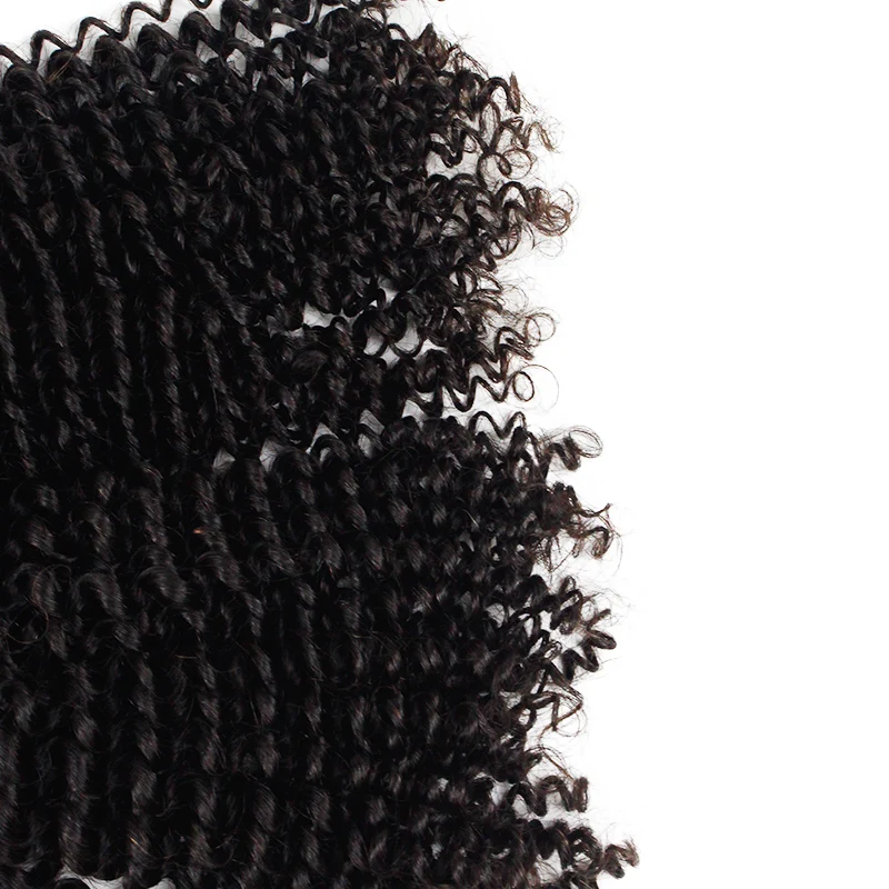 
Morein Virgin Hair Kinky Curly Bulk Hair For Black Women High Quality Cuticle Aligned Human Hair Afro Natural Closure 