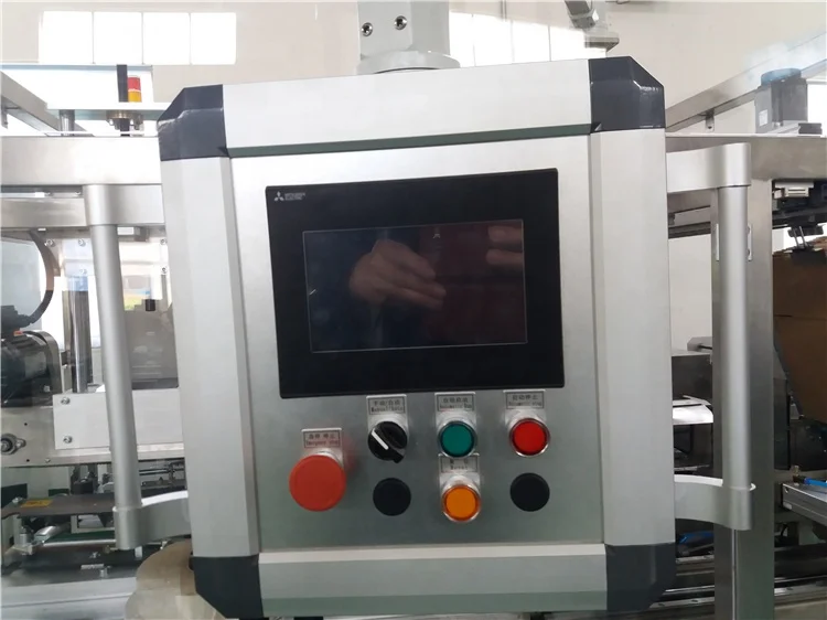 
Full Automatic Carton case Packer 