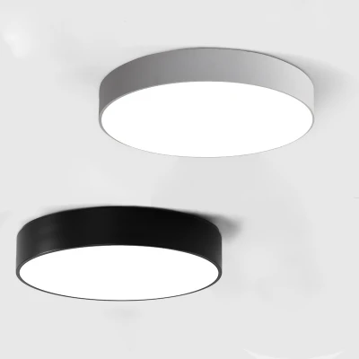 Round shape ceiling lamp modern design indoor led ceiling / pendant light