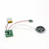 magnetic- control usb chargeable sound recordable audio module and chip