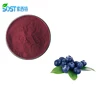 Chinese Supplier Free Sample Organic Acai Berry Powder Bulk